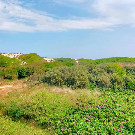 Appartement Amazing In De Haan With Wifi Mispelburg